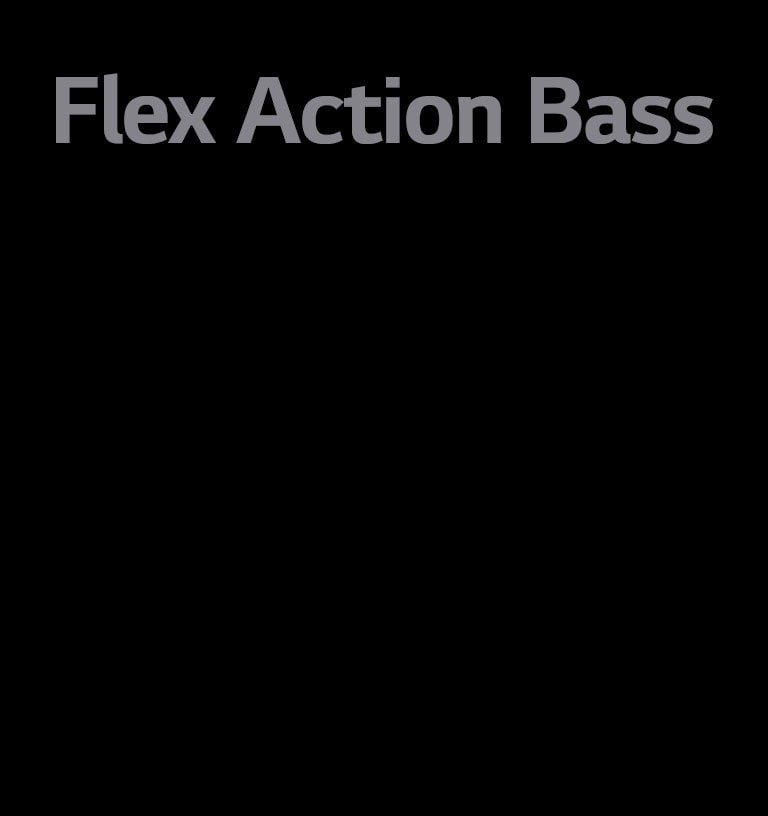 Scritta "Flex Action Bass"