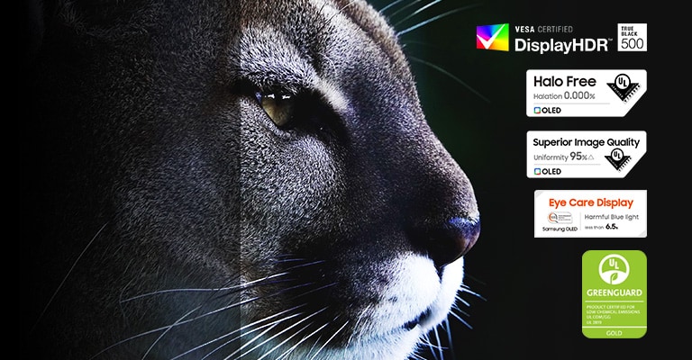 L'immagine del puma al buio esprime il suo colore accurato e il dettaglio delle pellicce.