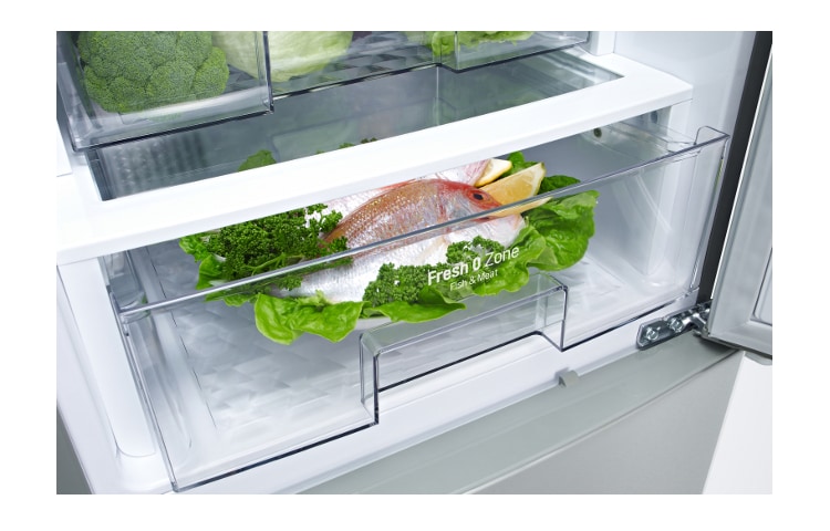 LG Total No Frost in  con 20% di risparmio energetico e 10 anni di garanzia. Disponibile in Bianco, GBB539SWHWB