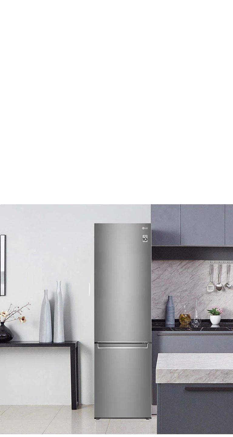 LG GBP52PZNCN1 Frigorifero combinato Classe C Inox | LG IT