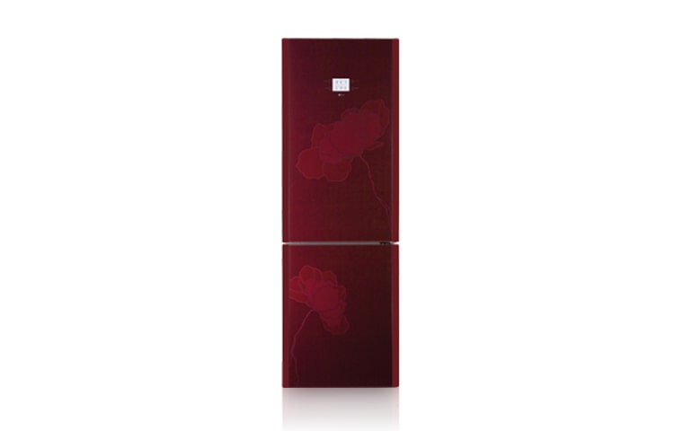 Vista frontale di LG Combinati: 1,90mt  GC-B409TGHW