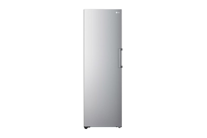 LG Freezer Monoporta | Classe E, 324L | Total NO FROST| Prime Silver, GFT41PZGSZ