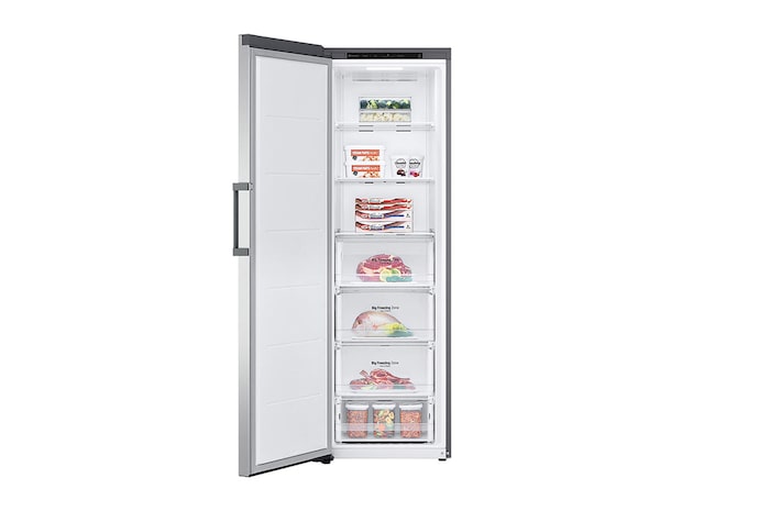 LG Freezer Monoporta | Classe E, 324L | Total NO FROST| Prime Silver, GFT41PZGSZ
