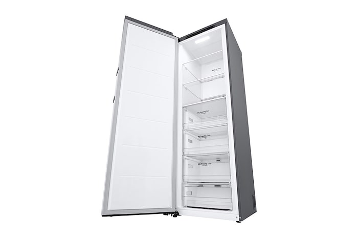 LG Freezer Monoporta | Classe E, 324L | Total NO FROST| Prime Silver, GFT41PZGSZ