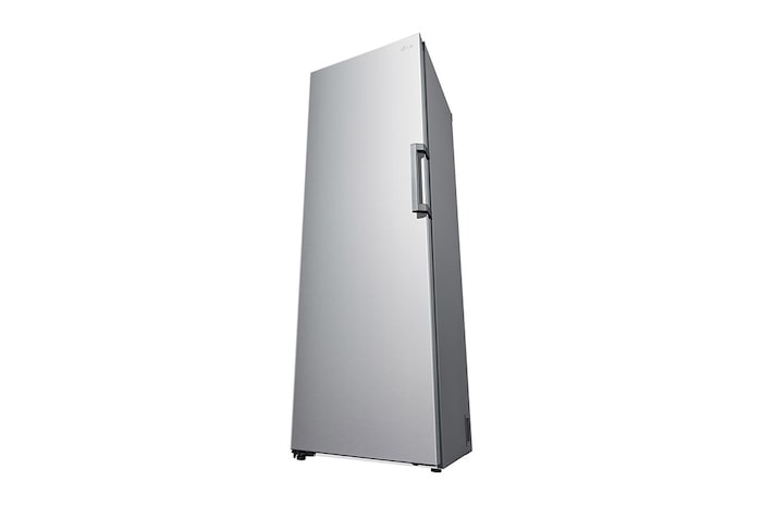 LG Freezer Monoporta | Classe E, 324L | Total NO FROST| Prime Silver, GFT41PZGSZ