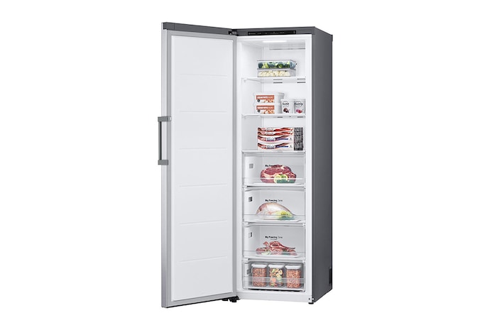 LG Freezer Monoporta | Classe E, 324L | Total NO FROST| Prime Silver, GFT41PZGSZ