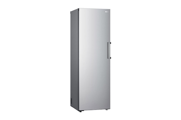 LG Freezer Monoporta | Classe E, 324L | Total NO FROST| Prime Silver, GFT41PZGSZ