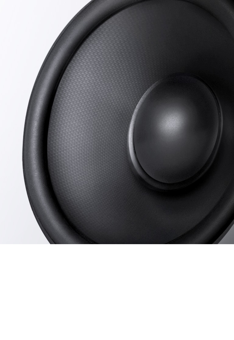 Particolare di un woofer in carbonio