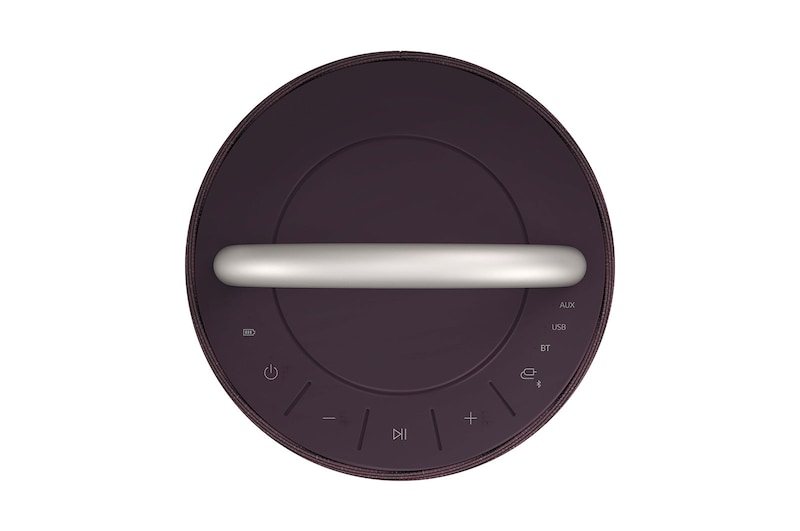 LG XBOOM 360 Speaker con Audio Omnidirezionale da 120W e Illuminazione emozionale, RP4