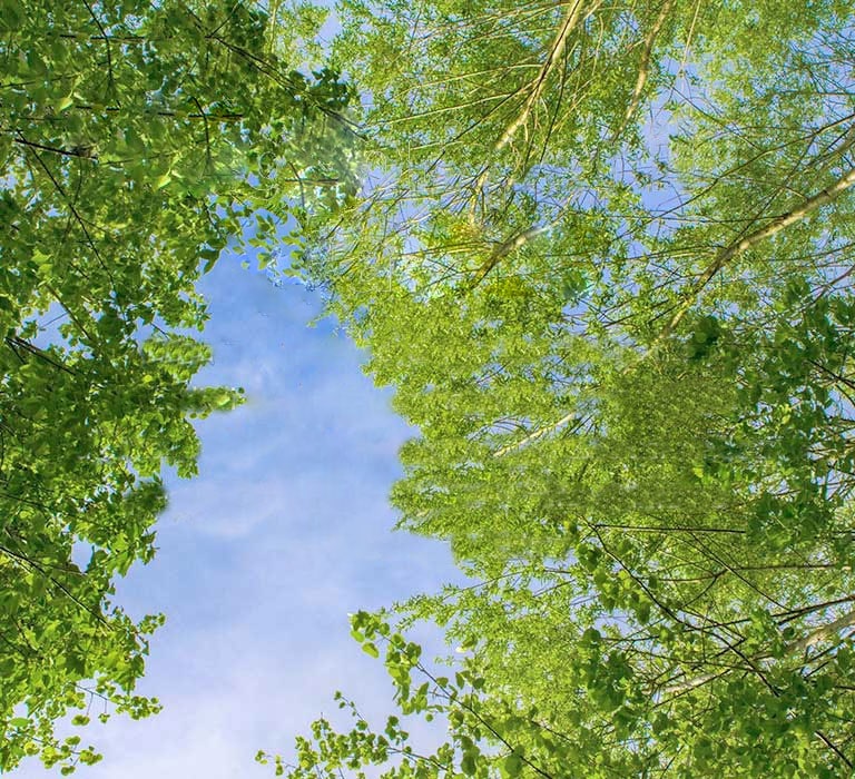 "Un’immagine verde, con alberi pieni di foglie e un cielo a fare da sfondo. Testo sopra l’immagine: Better for the Planet (Migliore per il pianeta) Stiamo cercando di aiutare l’ambiente con metodi di produzione e materiali più sostenibili. Ora progettiamo le nostre soundbar servendoci di plastica e tessuto riciclati. Le soundbar, inoltre, vengono spedite all’interno di imballaggi riciclati."