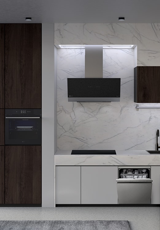 Immagine di una cucina con la lavastoviglie, il forno una cappa e un piano a induzione.