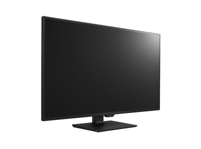 LG Monitor PC IPS 43" 16:9 Ultra HD 4K Multiscreen PBP, 43UD79-B