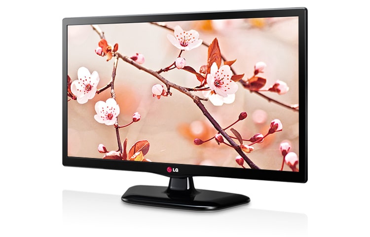 LG Monitor TV LED, 24 pollici, 16:9 con MC DFC 5.000.000:1, HD Ready, luminosità 250 cd/m2, angolo di visuale 178°/178° e appendibile a parete., 24MT45D