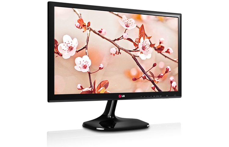LG Monitor TV IPS, 24 pollici, 16:9 con MC DFC 5.000.000:1, Full HD, luminosità 250 cd/m2, angolo di visuale 178°/178° e appendibile a parete., 24MT55D