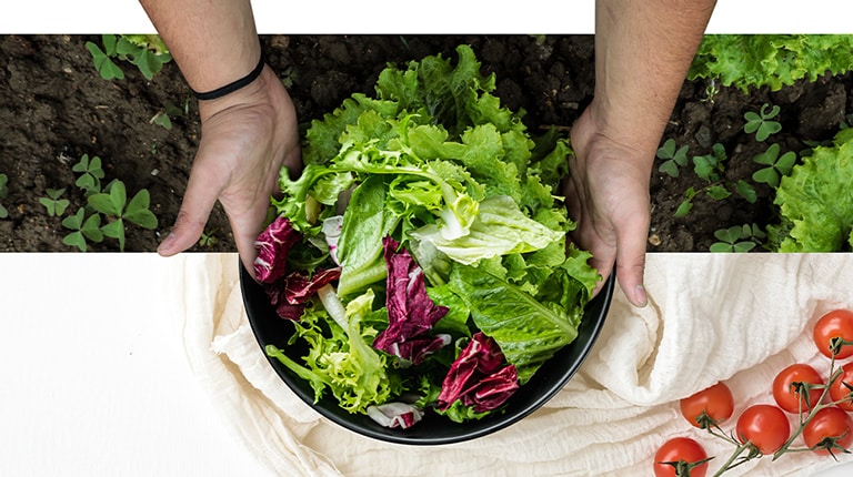 Una scodella di verdure fresche, come se fossero state appena raccolte da un orto.