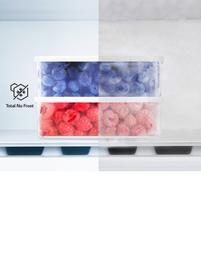 Contenitori di frutti di bosco congelati in un frigorifero, a sinistra con tecnologia Total No Frost.