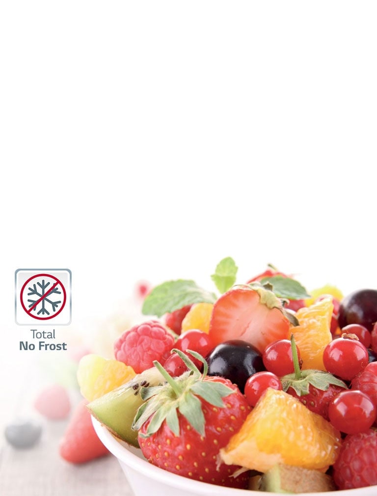 Total No Frost LG