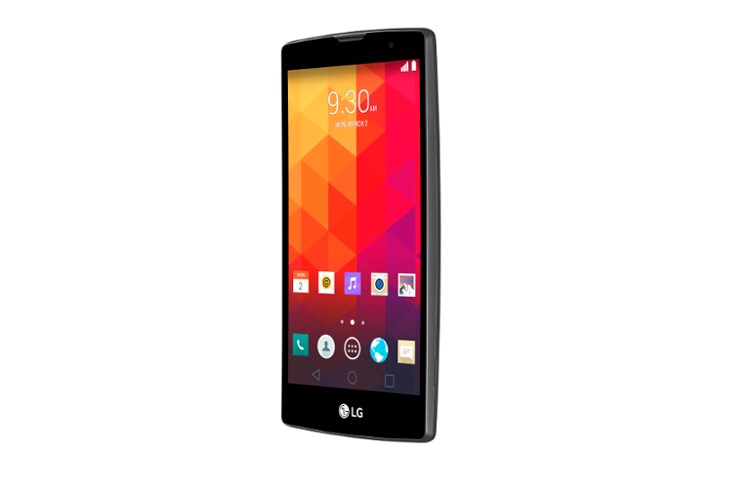 LG Magna Smartphone Display 5" Design curvo Fotocamera da 8MP  , LG Magna (H500f)