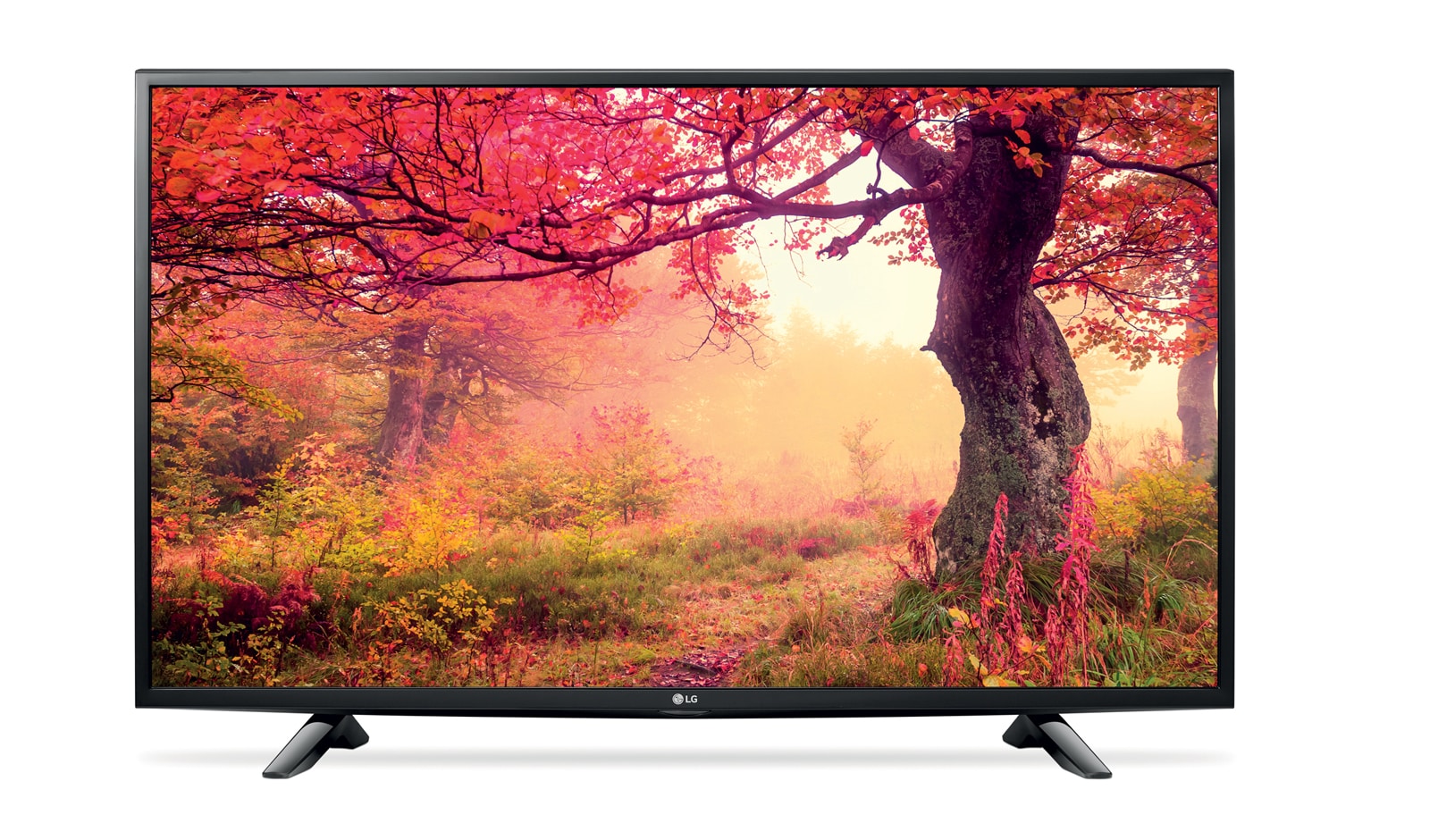 Vista frontale di LG TV LED 43&#34; Full HD DVB-T2 Satellitare S2 43LH510V