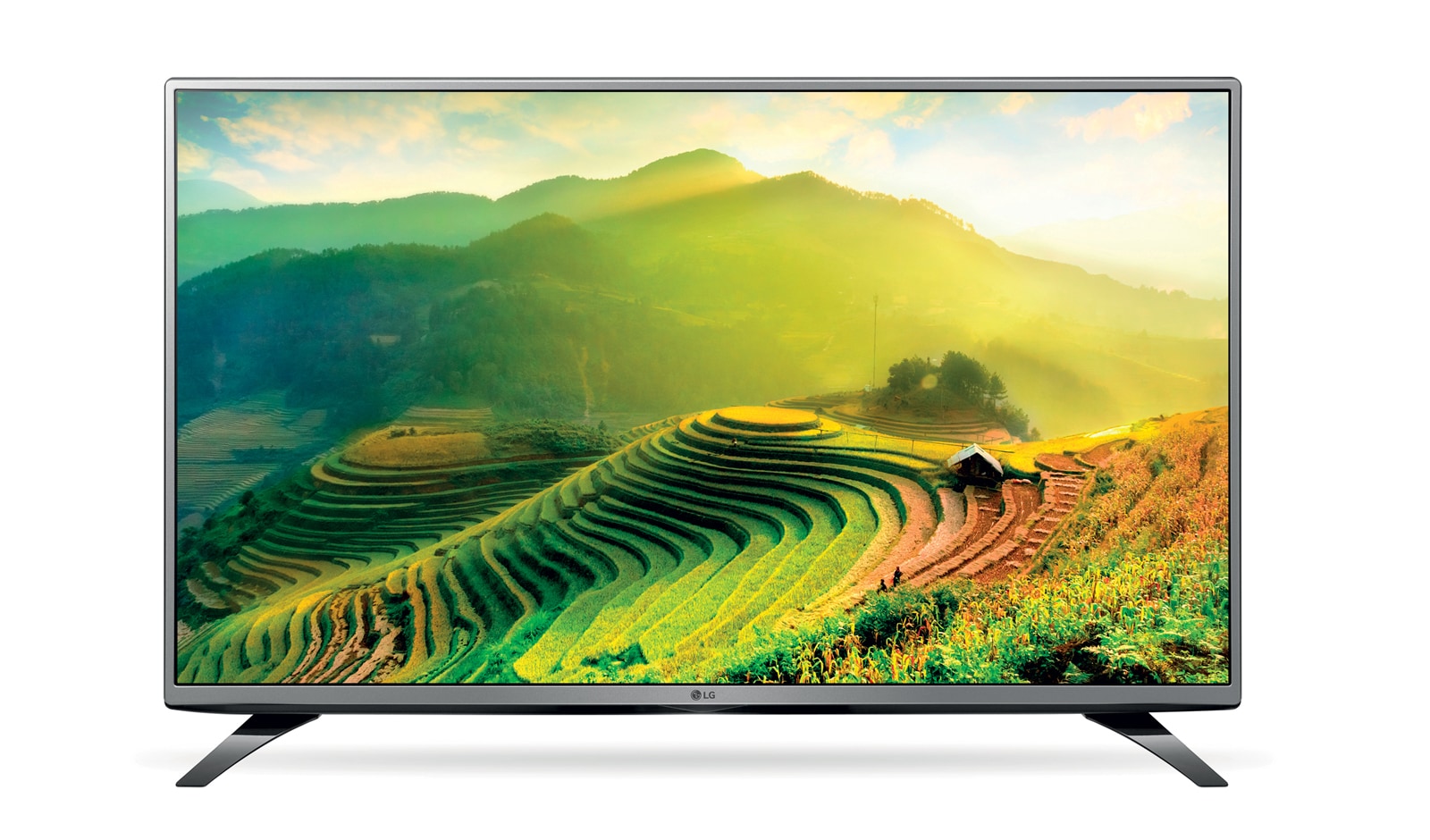 LG TV FULL HD 43LH560V
