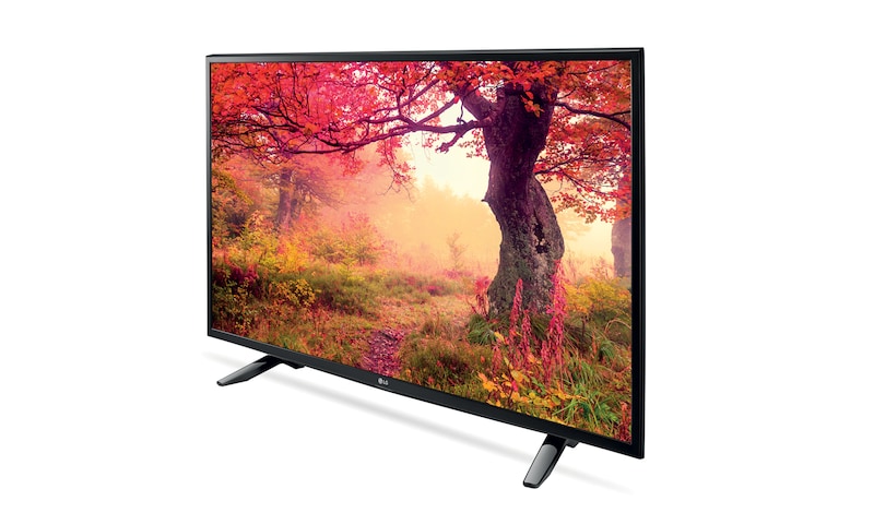 LG TV LED 49" Full HD  DVB-T2 Satellitare S2, 49LH510V