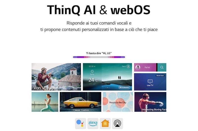 LG QNED | TV 65'' Serie QNED81 | QNED 4K, Smart TV, HDR10 Pro, HDMI 2.1 VRR, 65QNED816QA
