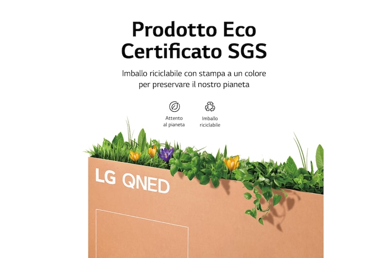 LG QNED MiniLed | TV 65'' Serie QNED96 | QNED 8K, Smart TV, VRR, Dolby Vision IQ e Atmos, 65QNED966QA