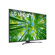 LG UHD | TV 65'' Serie UQ81 | Ultra HD 4K, Smart TV, HDR10 Pro, Filmmaker Mode, 65UQ81006LB