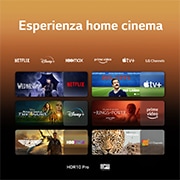 LG TV QNED | Serie QNED75 75'' | 4K, α5 Gen6, HDR10, 20W, 4 HDMI, Game Optimizer, Wi-Fi 5, Smart TV WebOS 23, 75QNED756RA