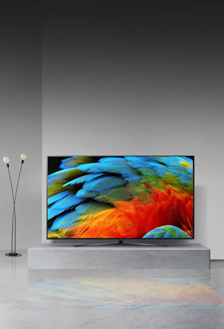 Dettagli ravvicinati della piuma di un uccello variopinto ottimizzati con il processore 4K α7 di quinta generazione con IA.