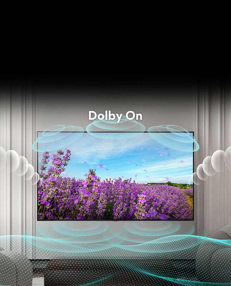Lo schermo TV QNED mostra una distesa estiva di fiori di campo rosa con al centro il testo Dolby OFF. L’immagine sullo schermo diventa più luminosa e il testo passa a Dolby ON.