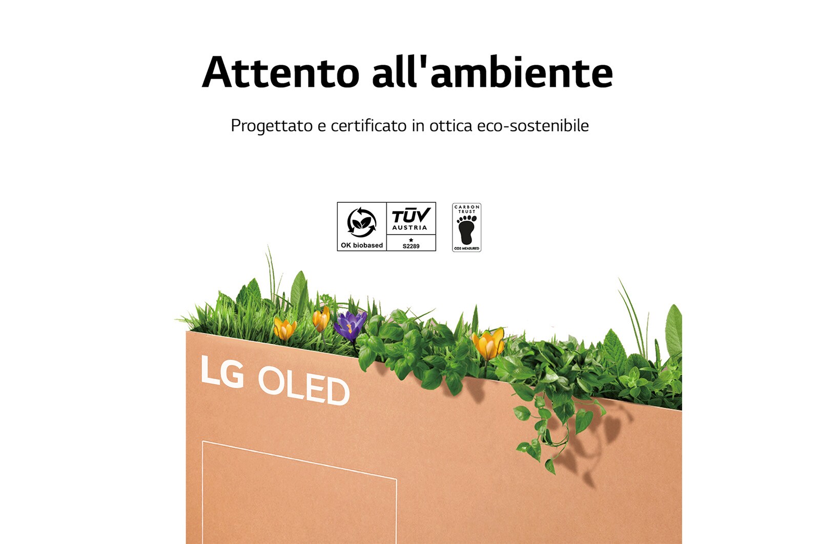 LG OLED | TV 55'' Serie B29 | OLED 4K, Smart TV, Dolby Vision IQ e Atmos, OLED55B29LA