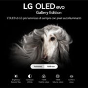 LG TV OLED Gallery Edition 4K 55 pollici, OLED55G26LA