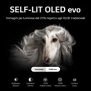 LG TV OLED evo con Dolby Atmos 65" LG, OLED65C26LD