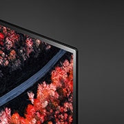 LG TV OLED 65" AI 4K Cinema HDR Smart TV Dolby Vision™ Dolby Atmos® Google Assistant e Alexa, OLED65C9PLA