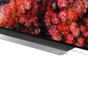 LG TV OLED 65" AI 4K Cinema HDR Smart TV Dolby Vision™ Dolby Atmos® Google Assistant e Alexa, OLED65C9PLA