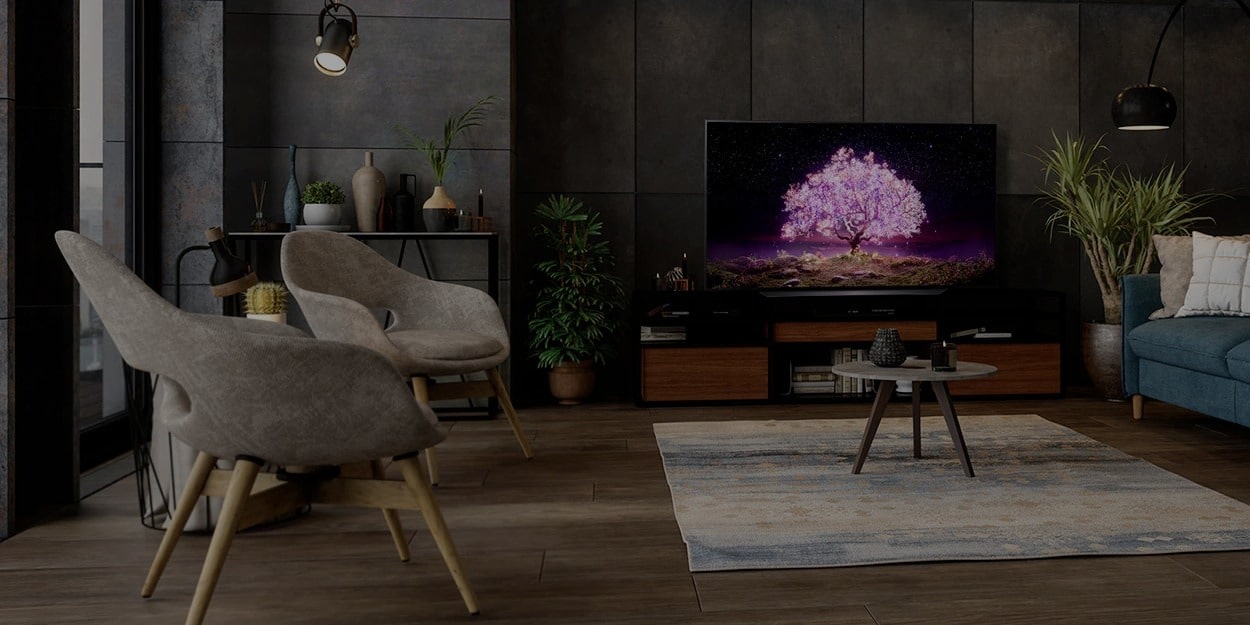 lg oled evo