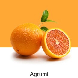 REF-NatureFRESH-Vplus-03-UsefulTips-04-3-Citrus-Fruits