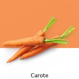 REF-NatureFRESH-Vplus-03-UsefulTips-04-4-Carrots