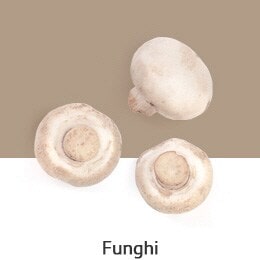 REF-NatureFRESH-Vplus-03-UsefulTips-04-9-Mushrooms