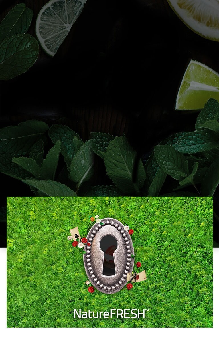 Gusta la freschezza