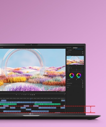 Display IPS Premium.