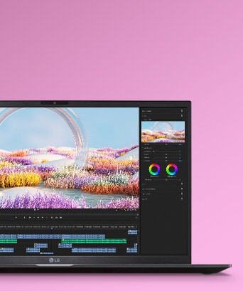 Display IPS Premium.