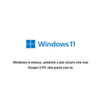 Windows 11