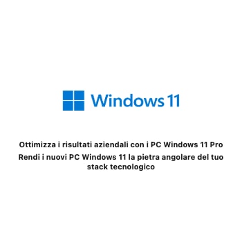 Windows 11 Pro