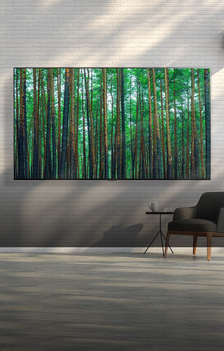  Un grande schermo TV LG QNED Mini LED montato contro una parete di mattoni bianchi con una piccola poltrona e un tavolo di fronte. Lo schermo mostra una foresta.