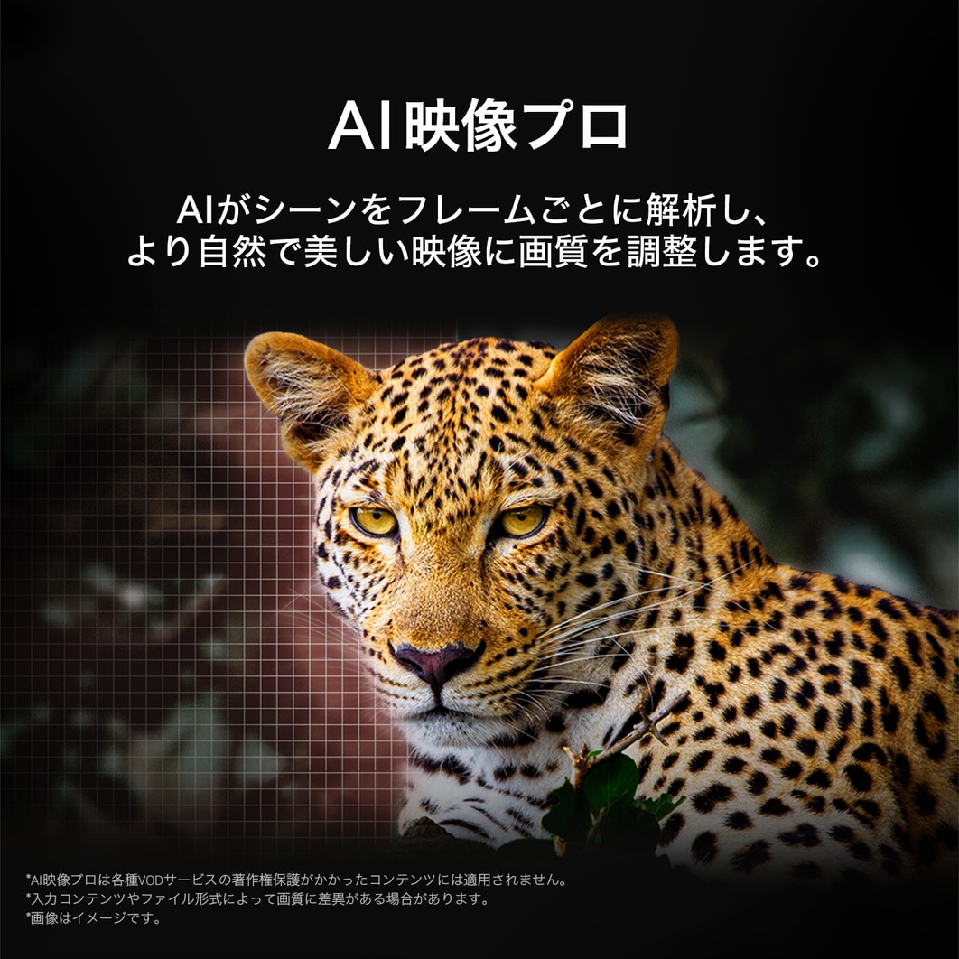 森の中のヒョウが鮮やかな色とディテールで映し出される。ヒョウの後ろではグリッドとライトが光り、LG AI Picture Proがこの画像の解像度、輝度、深み、明度を著しく向上させたことを示している。