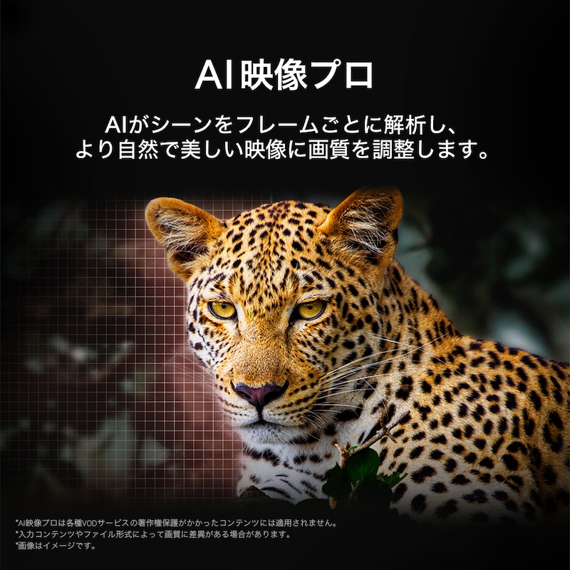 森の中のヒョウが鮮やかな色とディテールで映し出される。ヒョウの後ろではグリッドとライトが光り、LG AI Picture Proがこの画像の解像度、輝度、深み、明度を著しく向上させたことを示している。