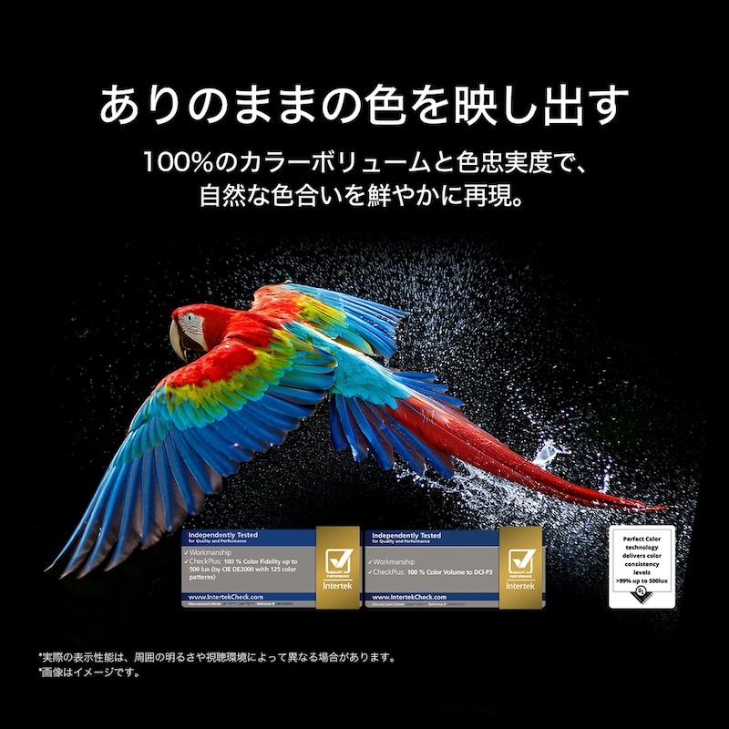 色鮮やかなオウムが黒を背景に超高解像度で映し出されている。周囲には水滴が浮かんでいる。この画像は、オウムの体の多彩な色を1つ1つ生き生きと色鮮やかに映し出すことでPerfect Colorを紹介している。細かい水しぶきが表示された暗い背景は、スクリーンが反射フリーであることも強調している。ULとIntertekの別個のロゴ認証が表示されている。これらは100%の色再現忠実度、100%のカラーボリューム、反射フリーであることを示している。テキストも表示され、「Perfect Color認定マークをチェック」と書かれている。