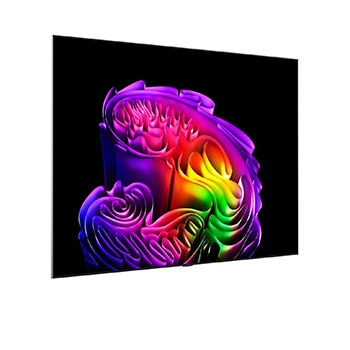 LG OLED evo AI G6 with Brightness Booster shows a dark scene where a brilliantly illuminated peacock spreads its radiant, glowing feathers, delivering brighter highlights with improved detail and striking contrast.